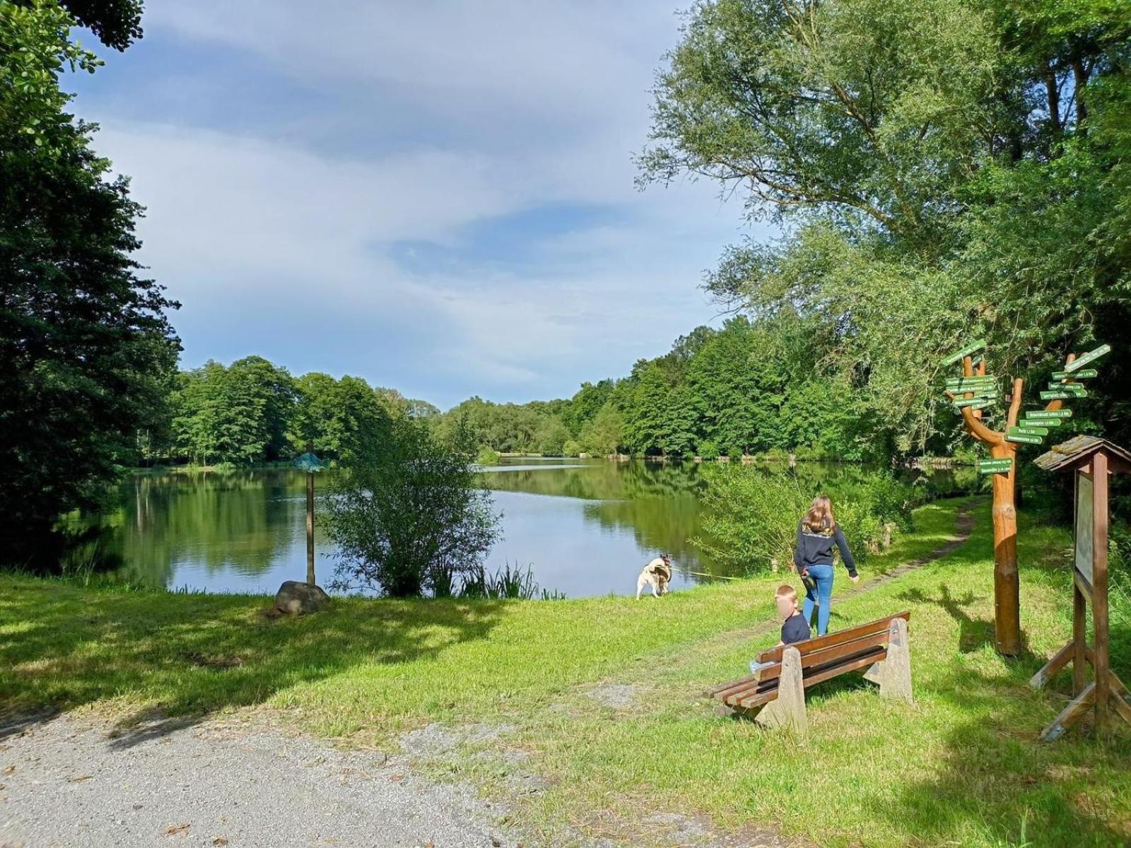 Ferienhof Im Gruenen Herzen Dittersdorf Extérieur photo